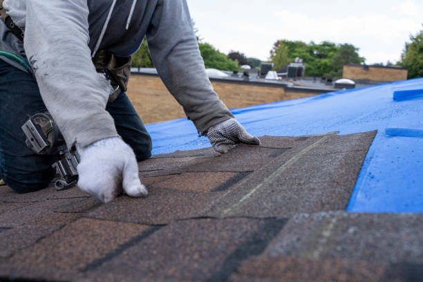 Roof Waterproofing Services in Baxley, GA