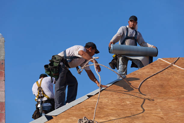 Best Roof Waterproofing Services  in Baxley, GA