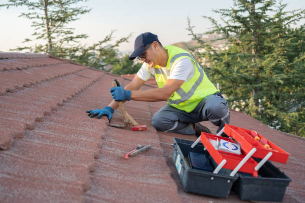 Best Roof Gutter Cleaning  in Baxley, GA